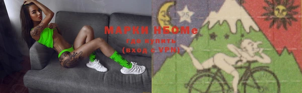 индика Вязники