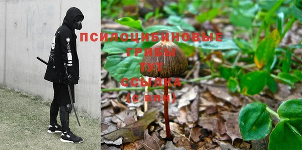 прущие крисы Волоколамск