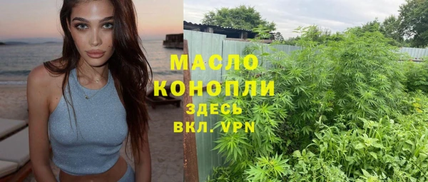 индика Вязники