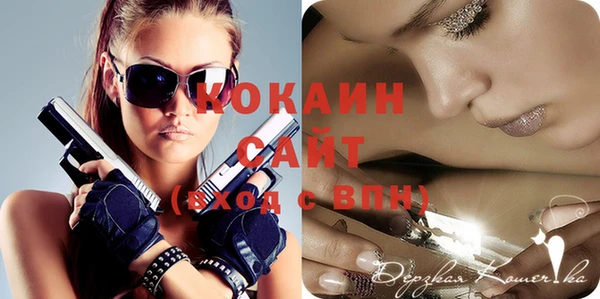 индика Вязники