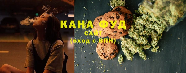 индика Вязники